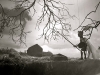 03_dq_dream_ws
