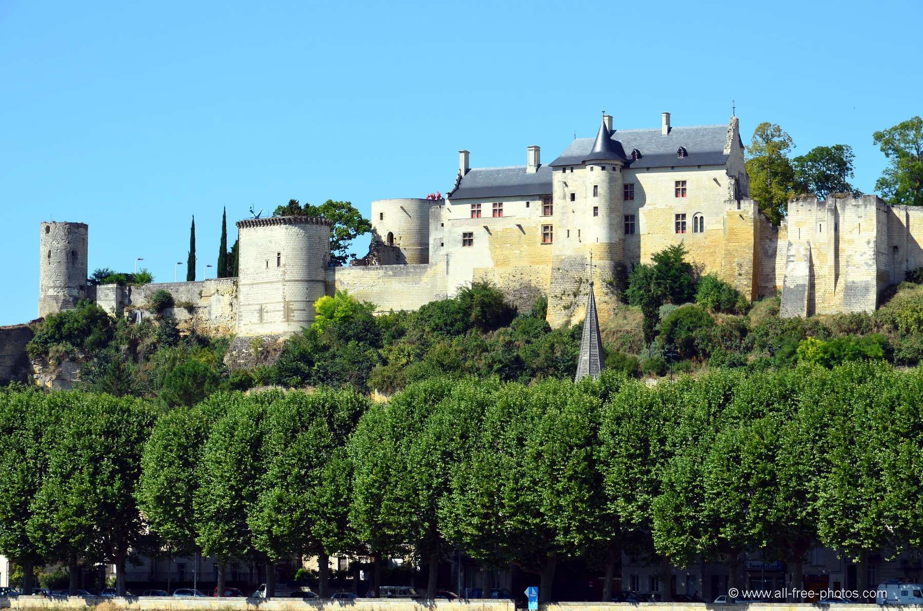 chinon